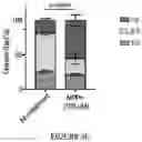 Fig. 08 - TARGETING G3BP AGGREGATION TO PREVENT NEURODEGENERATION