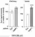 Fig. 49 - TARGETING G3BP AGGREGATION TO PREVENT NEURODEGENERATION