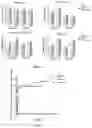 Fig. 03 - METHOD AND DRUG FOR TREATING SPINAL MUSCULAR ATROPHY