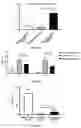 Fig. 12 - METHOD AND DRUG FOR TREATING SPINAL MUSCULAR ATROPHY