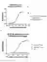 Fig. 07 - Bispecific EGFR/CD16 antigen-binding protein