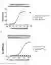 Fig. 08 - Bispecific EGFR/CD16 antigen-binding protein