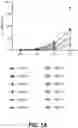Fig. 02 - IDENTIFICATION OF HLA-RESTRICTED PRAME PEPTIDE EPITOPES, PRAME-SPECIFIC T CELLS SUITABLE FOR 