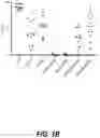 Fig. 03 - IDENTIFICATION OF HLA-RESTRICTED PRAME PEPTIDE EPITOPES, PRAME-SPECIFIC T CELLS SUITABLE FOR 