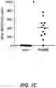 Fig. 04 - IDENTIFICATION OF HLA-RESTRICTED PRAME PEPTIDE EPITOPES, PRAME-SPECIFIC T CELLS SUITABLE FOR 