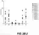 Fig. 07 - IDENTIFICATION OF HLA-RESTRICTED PRAME PEPTIDE EPITOPES, PRAME-SPECIFIC T CELLS SUITABLE FOR 