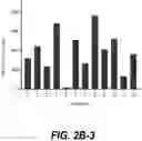 Fig. 08 - IDENTIFICATION OF HLA-RESTRICTED PRAME PEPTIDE EPITOPES, PRAME-SPECIFIC T CELLS SUITABLE FOR 