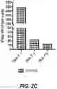 Fig. 09 - IDENTIFICATION OF HLA-RESTRICTED PRAME PEPTIDE EPITOPES, PRAME-SPECIFIC T CELLS SUITABLE FOR 