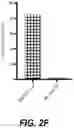 Fig. 12 - IDENTIFICATION OF HLA-RESTRICTED PRAME PEPTIDE EPITOPES, PRAME-SPECIFIC T CELLS SUITABLE FOR 