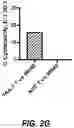 Fig. 13 - IDENTIFICATION OF HLA-RESTRICTED PRAME PEPTIDE EPITOPES, PRAME-SPECIFIC T CELLS SUITABLE FOR 