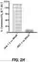 Fig. 14 - IDENTIFICATION OF HLA-RESTRICTED PRAME PEPTIDE EPITOPES, PRAME-SPECIFIC T CELLS SUITABLE FOR 