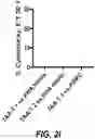 Fig. 15 - IDENTIFICATION OF HLA-RESTRICTED PRAME PEPTIDE EPITOPES, PRAME-SPECIFIC T CELLS SUITABLE FOR 