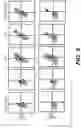 Fig. 28 - IDENTIFICATION OF HLA-RESTRICTED PRAME PEPTIDE EPITOPES, PRAME-SPECIFIC T CELLS SUITABLE FOR 