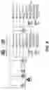 Fig. 32 - IDENTIFICATION OF HLA-RESTRICTED PRAME PEPTIDE EPITOPES, PRAME-SPECIFIC T CELLS SUITABLE FOR 