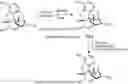 Fig. 01 - Compositions and Methods for Treating Morphine, Heroin, and Alcohol Dependence
