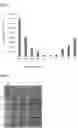 Fig. 02 - COMPOSITIONS COMPRISING LTB AND PATHOGENIC ANTIGENS, AND USE THEREOF