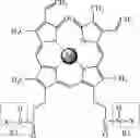 Fig. 07 - Immunologically Active Peptide-Biliverdin Conjugate, Preparation Method Therefor and Application Thereof