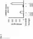 Fig. 07 - METHODS AND COMPOSITIONS FOR TREATING A TUMOR