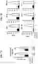 Fig. 09 - METHODS AND COMPOSITIONS FOR TREATING A TUMOR