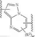 Fig. 41 - IRAK DEGRADERS AND USES THEREOF