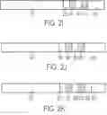 Fig. 06 - POLYMERIC LINKERS FOR A GASTRIC RESIDENCE SYSTEM