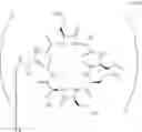 Fig. 239 - COMPOSITIONS AND METHODS FOR THE TREATMENT OF BACTERIAL INFECTIONS