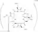 Fig. 241 - COMPOSITIONS AND METHODS FOR THE TREATMENT OF BACTERIAL INFECTIONS