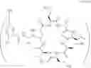 Fig. 265 - COMPOSITIONS AND METHODS FOR THE TREATMENT OF BACTERIAL INFECTIONS