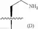 Fig. 652 - COMPOSITIONS AND METHODS FOR THE TREATMENT OF BACTERIAL INFECTIONS