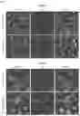 Fig. 08 - NANOSYSTEMS AS SELECTIVE VEHICLES