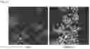 Fig. 11 - NANOSYSTEMS AS SELECTIVE VEHICLES