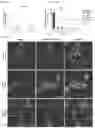 Fig. 12 - NANOSYSTEMS AS SELECTIVE VEHICLES