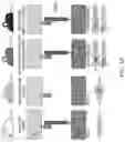 Fig. 02 - NUCLEIC ACID-BASED COMPOSITIONS AND METHODS FOR TREATING SMALL VESSEL DISEASES