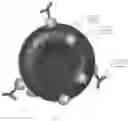 Fig. 02 - METHOD, SYSTEM AND DEVICE TO REDUCE UNWANTED CELLS IN BIOLOGIC PRODUCTS