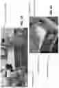 Fig. 37 - AIRBORNE INFECTIOUS AGENT STERILIZER AND RELATED METHOD