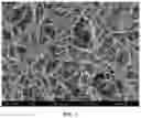 Fig. 02 - COMPOSITE SCAFFOLD MATERIAL, PREPARATION METHOD THEREFOR AND USE THEREOF