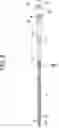 Fig. 06 - PERCUTANEOUS CATHETER