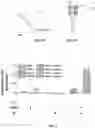 Fig. 07 - SYSTEMS AND METHODS FOR BACTERIAL BIOFILM INACTIVATION