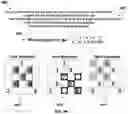 Fig. 07 - Deploying a plurality of planar layers for lottery tickets