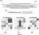 Fig. 08 - Deploying a plurality of planar layers for lottery tickets