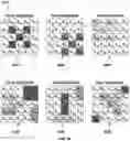 Fig. 10 - Deploying a plurality of planar layers for lottery tickets