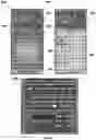 Fig. 11 - Deploying a plurality of planar layers for lottery tickets