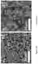 Fig. 03 - ACTIVE COATING BASED ON PICKERING EMULSIONS