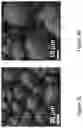 Fig. 06 - ACTIVE COATING BASED ON PICKERING EMULSIONS