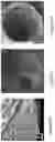 Fig. 10 - ACTIVE COATING BASED ON PICKERING EMULSIONS