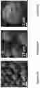 Fig. 11 - ACTIVE COATING BASED ON PICKERING EMULSIONS