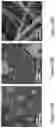 Fig. 15 - ACTIVE COATING BASED ON PICKERING EMULSIONS