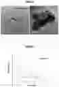 Fig. 09 - SYSTEM AND METHOD FOR SYNTHESIS OF ZEOLITE NANOPARTICLES IN CONTINUOUS FLOW WITH MICROFLUIDIC MICROMIXER