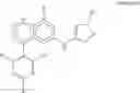 Fig. 09 - Novel Therapeutic Methods
