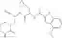 Fig. 486 - INHIBITORS OF CYSTEINE PROTEASES AND METHODS OF USE THEREOF